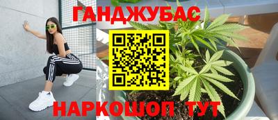 мдма Новодвинск