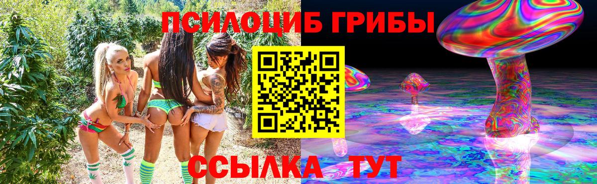 Галлюциногенные грибы Psilocybe  закладка  Алексеевка  Псилоцибиновые грибы ЛСД  Вход с VPN 